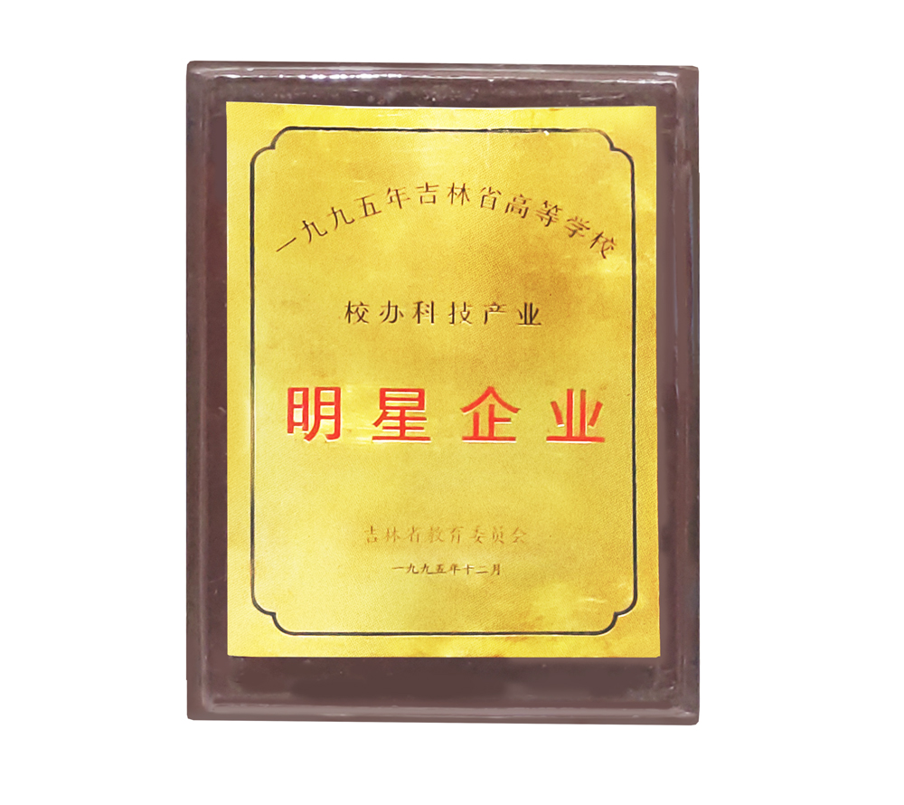 1995-明星企业1000.jpg